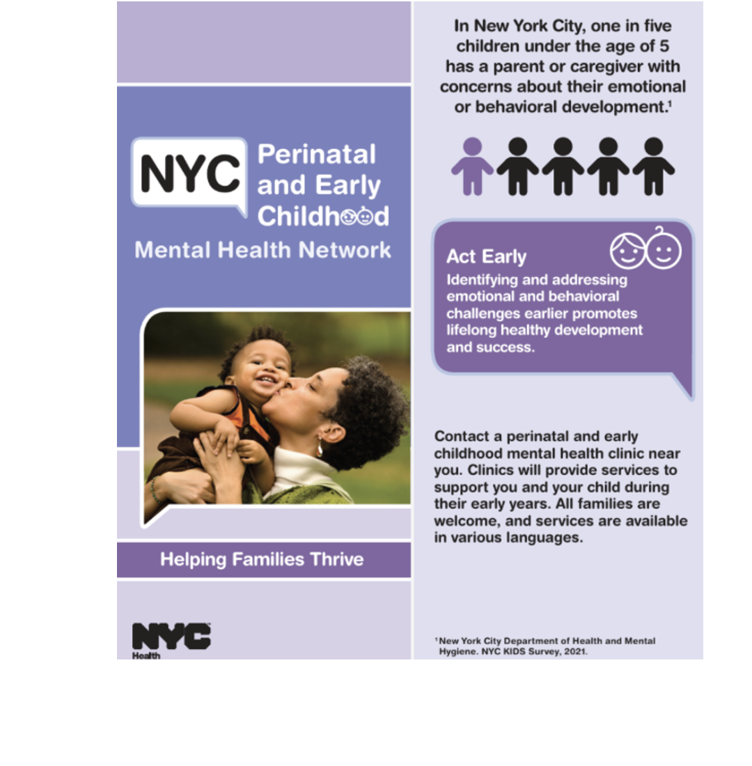 New York City Perinatal and Early Childhood Mental Health Network (P+ECMHN)